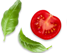 kitchen.blacktechi.com